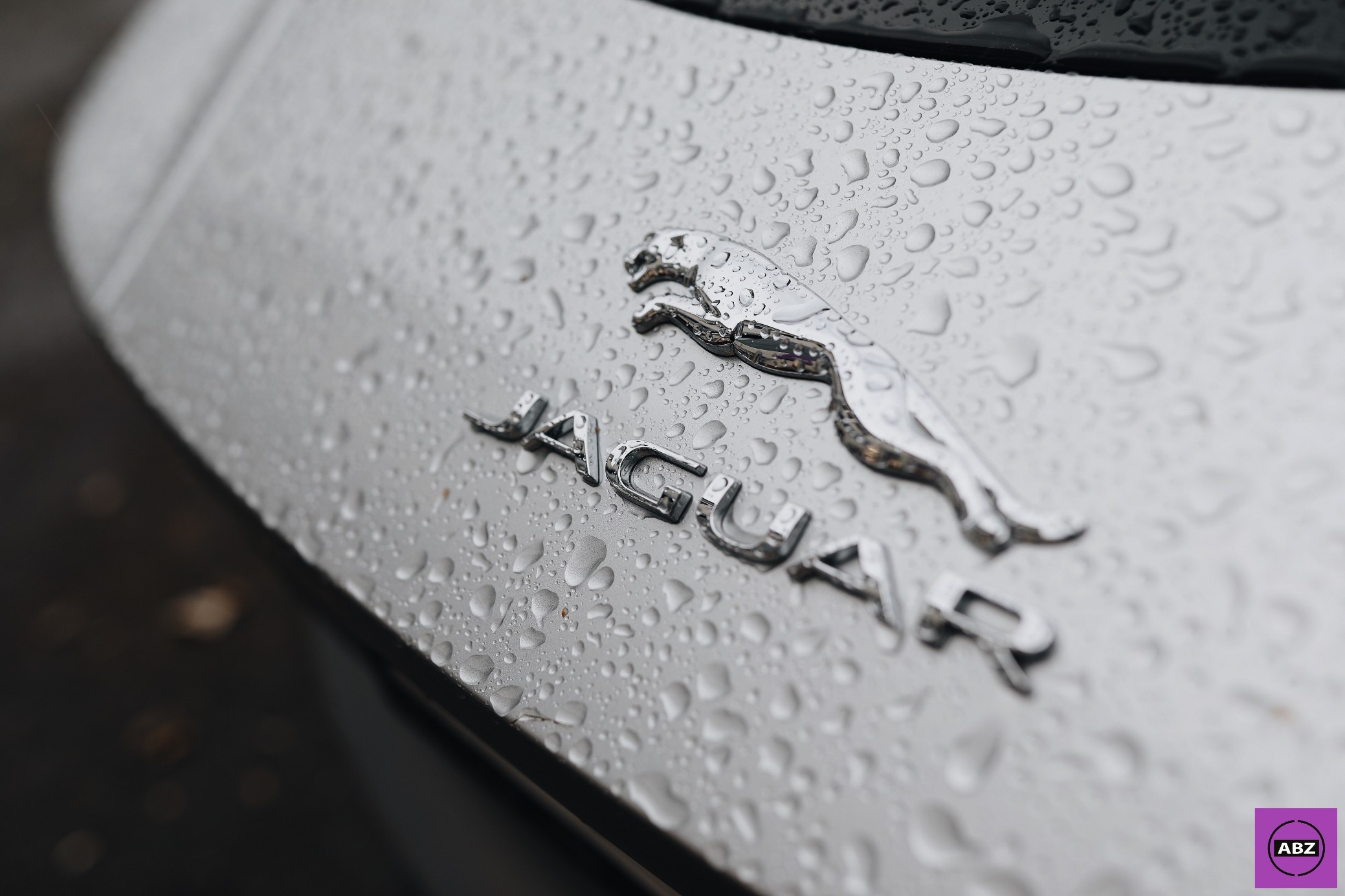 Фото Jaguar F Type — скорость под антигравийной пленкой
