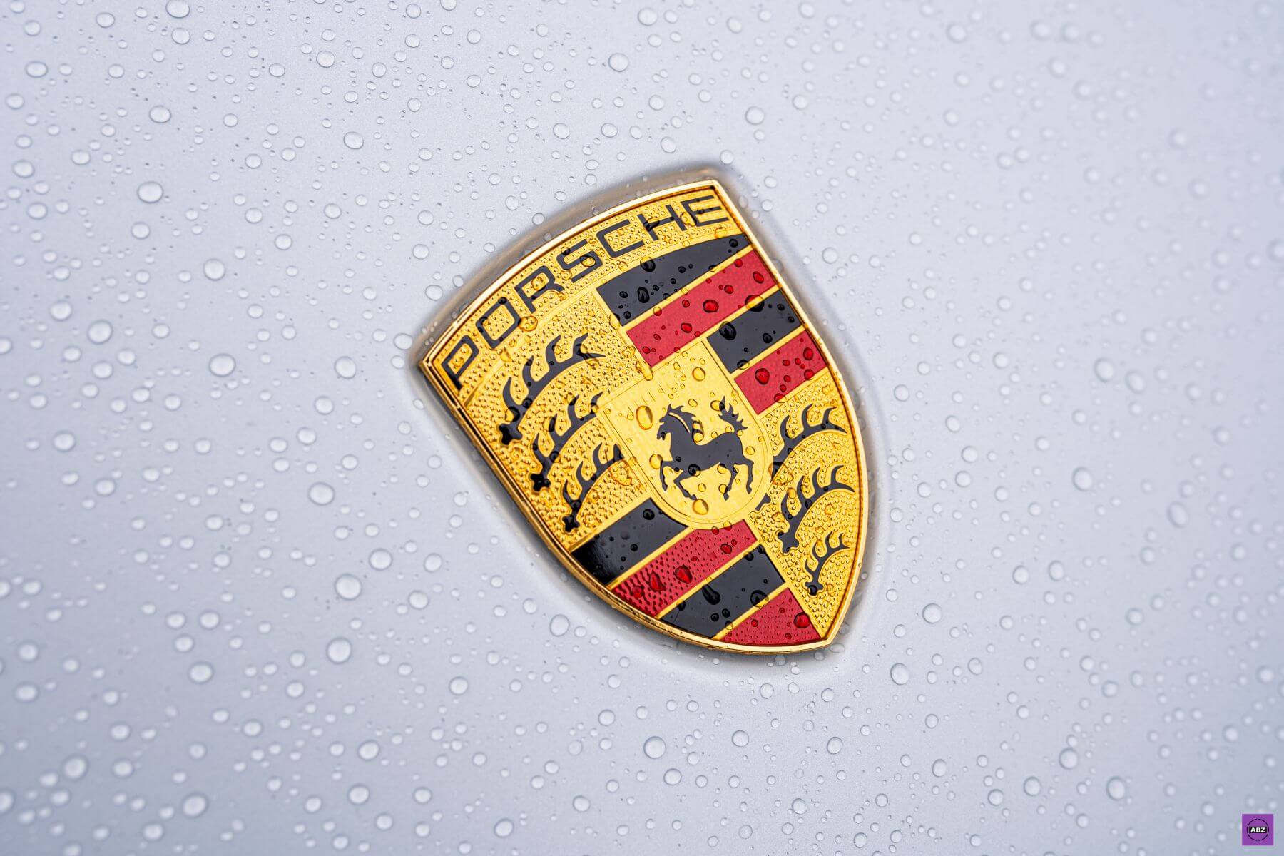 Фото Уникальный Porsche Taycan под матовым полиуретаном
