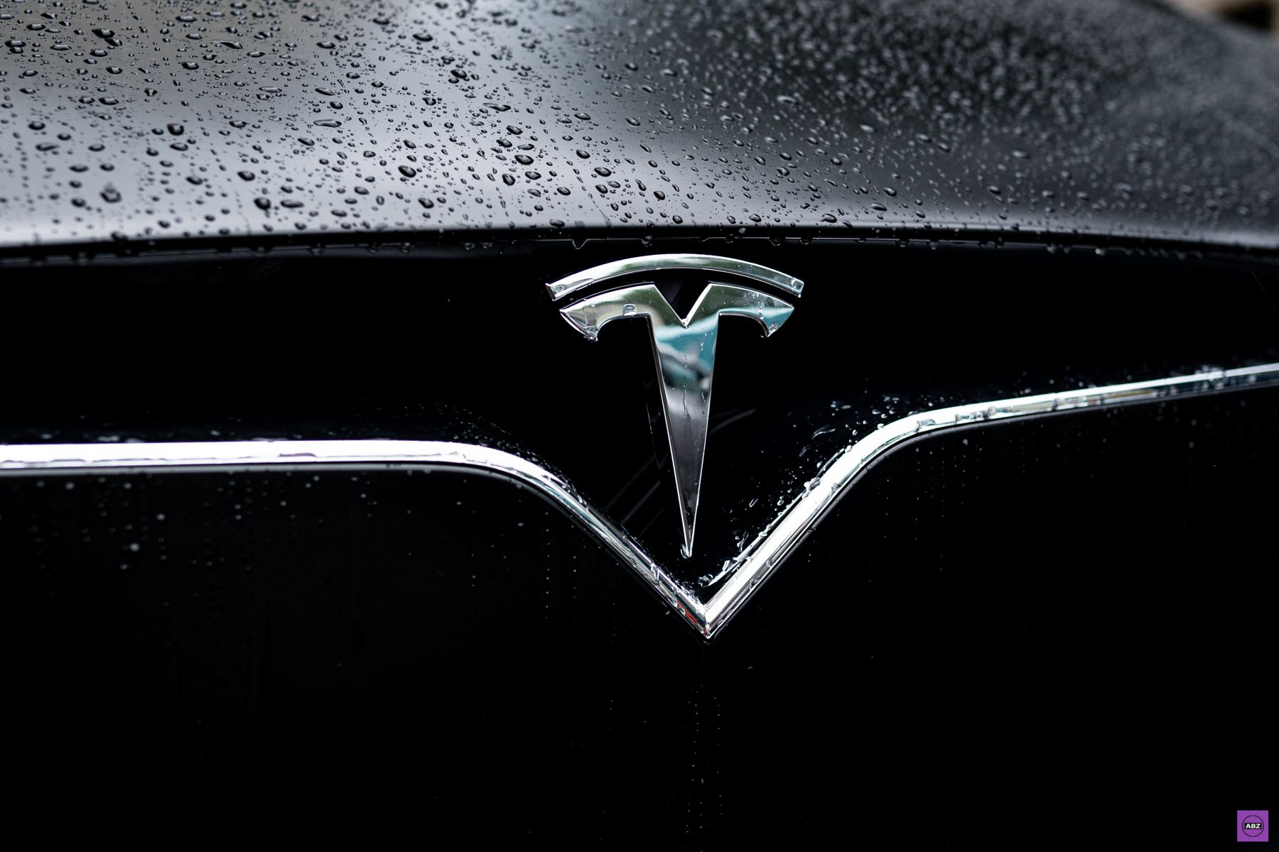 Фото Матовая Tesla Model X с максимальным комплектом защиты