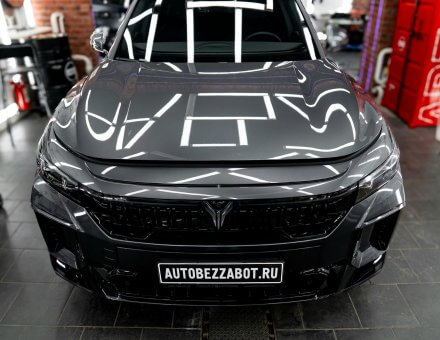 Фото бронирования фар автомобиля Voyah Free