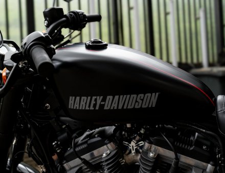 Фото оклейки пленкой мотоцикла Harley-Davidson Sportster Roadster XL1200CX