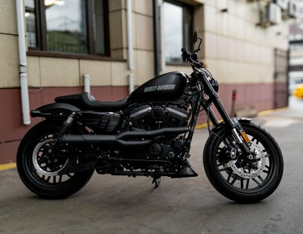 Фото оклейки пленкой мотоцикла Harley-Davidson Sportster Roadster XL1200CX