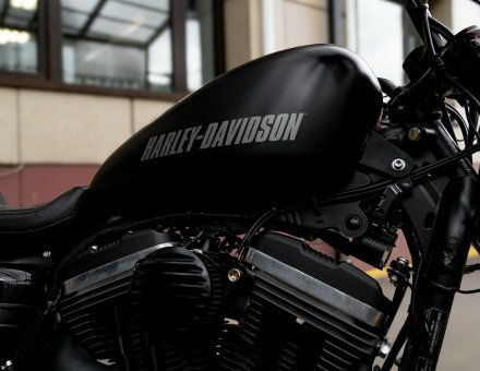 Фото оклейки пленкой мотоцикла Harley-Davidson Sportster Roadster XL1200CX